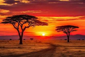 Serengeti safari