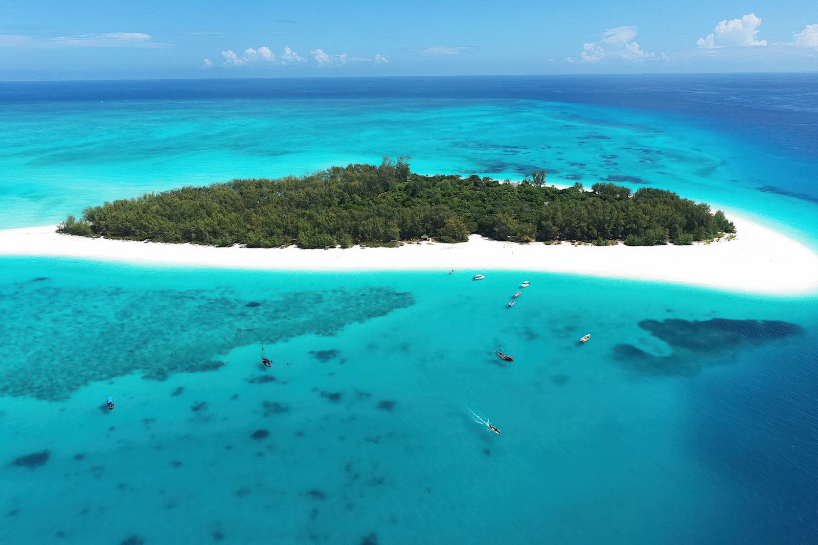 Mnemba snorkeling water
